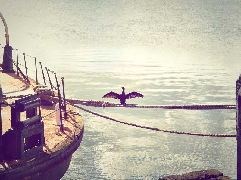 Mudanzas Comerciales Puerto Plata